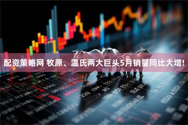 配资策略网 牧原、温氏两大巨头5月销量同比大增!